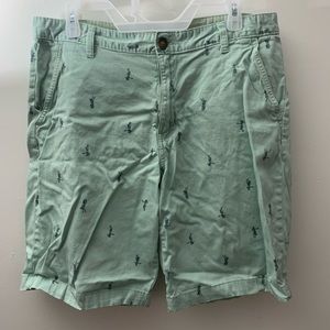 Men’s Mint Seafoam Green Hula Girl Shorts, 34 Waist